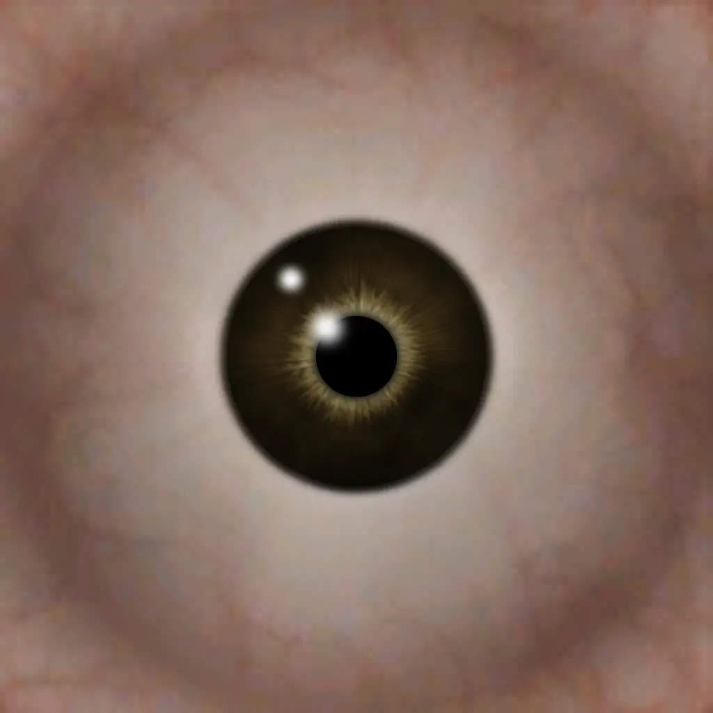 eye